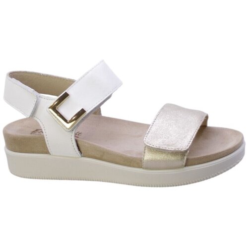 Enval 346943 Gold Cijene
