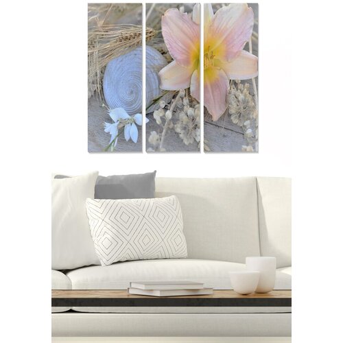 Wallity Set slika MDF2450687, 3 dijela Cene