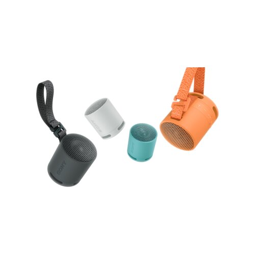 Sony Bluetooth zvočnik SRSXB100H siv Cene