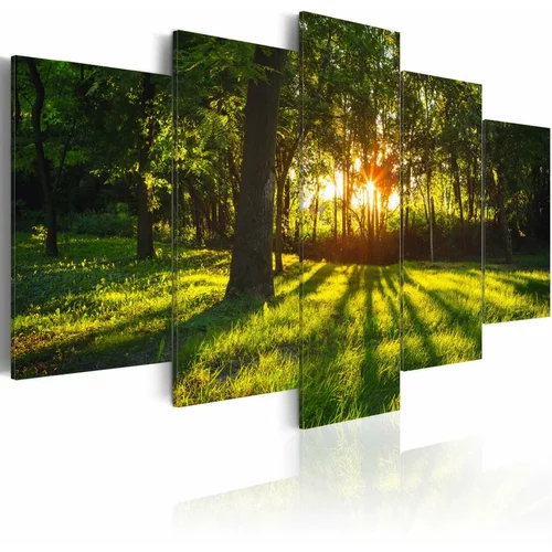  Slika - The forest reflection 100x50