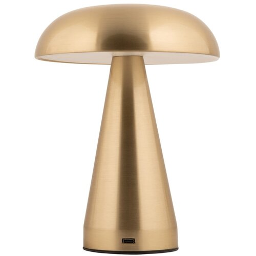 Leitmotiv LED zatemnitvena namizna svetilka v zlati barvi s kovinskim senčilom (vi&amp;scaron;ina 20,5 cm) Rachel &amp;ndash; Slike