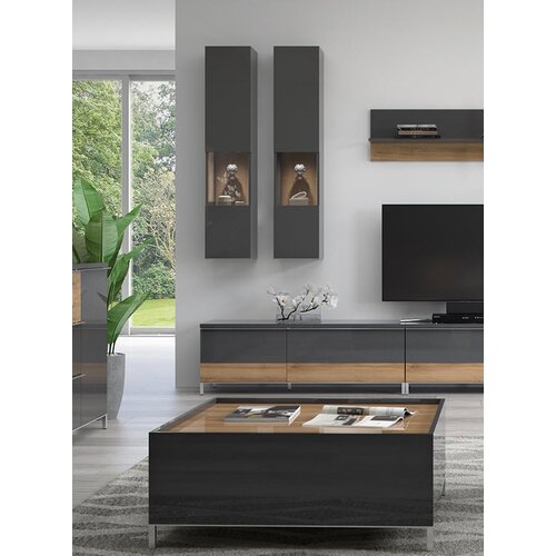 Jela VISE�A VITRINA RADDA ONYX Z OSVETLITVIJO Cene
