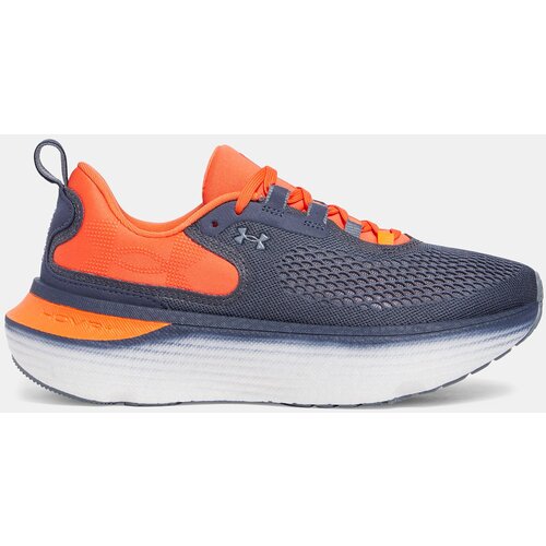 Under Armour Women's shoes UA W Infinite Elite 2 - Women's Cene