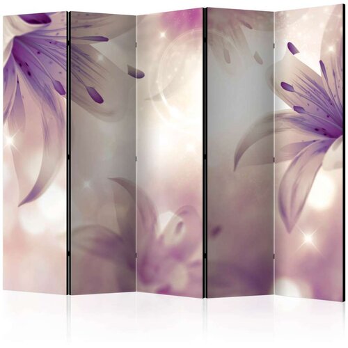  Paravan u 5 dijelova - Ballad about Gentleness II [Room Dividers] 225x172 Slike