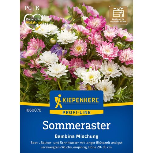 KIEPENKERL Pritlikave astre Bambina Mix - 1 pkt. Slike