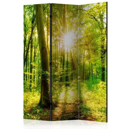  Paravan u 3 dijela - Forest Rays [Room Dividers] 135x172 Slike