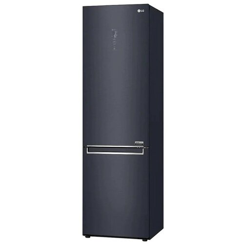 LG GBB92MCACP kombinirani hladilnik, 384 l, No Frost, Smart Diagnosis, Wi-Fi, črna barva - Cene