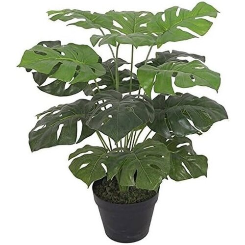 Dekordom cvet u saksiji - monstera zd-bybg25-pgj5 - 32cm - n55 ( 025077 ) Cene