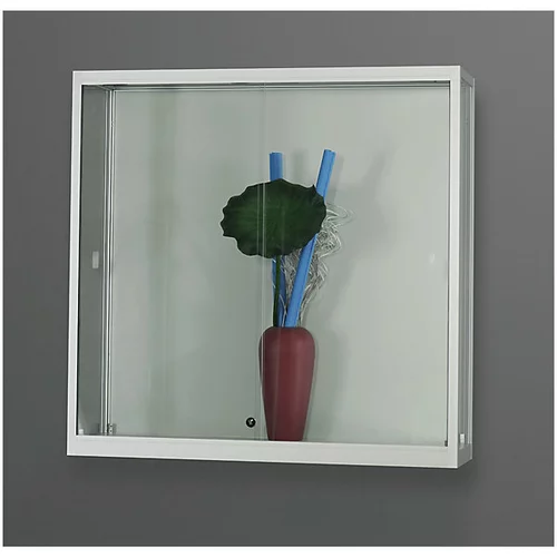  Stenska vitrina, širina 1000 mm, brez osvetlitve, VxG 984 x 300 mm, srebrna