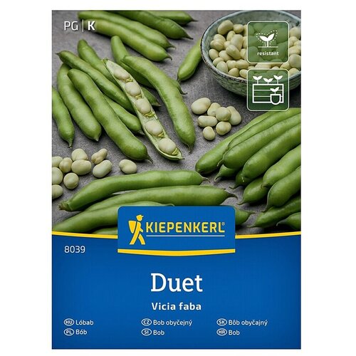 KIEPENKERL Zelenjavna semena Bob Duet (Vicia faba, Čas žetve: Junij) Cene