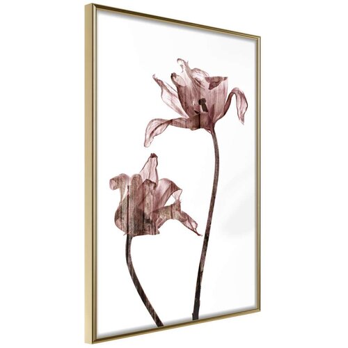  Poster - Flashback of Last Summer 30x45 Cijene
