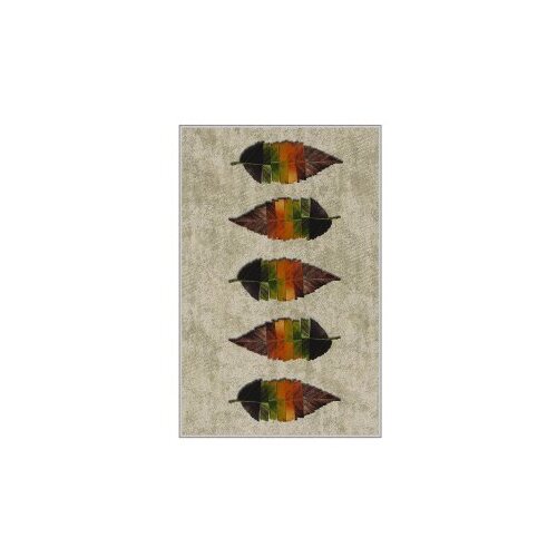Conceptum Hypnose tepih Hmnt566, pravokutni, 80 x 120 cm, &amp;scaron;areni Slike
