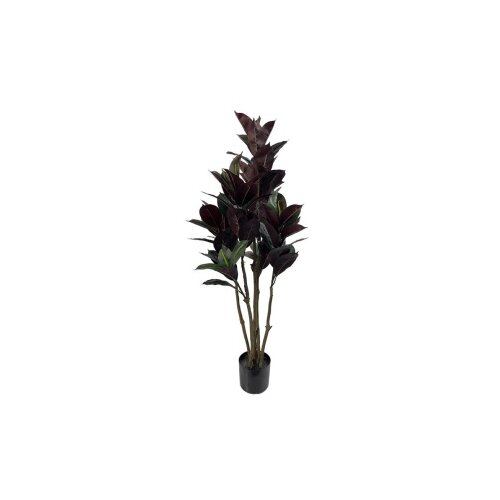 Avatar29762 Dekor bordo fikus Slike