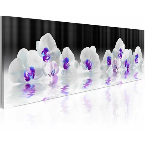  Slika - Water Orchids 150x50