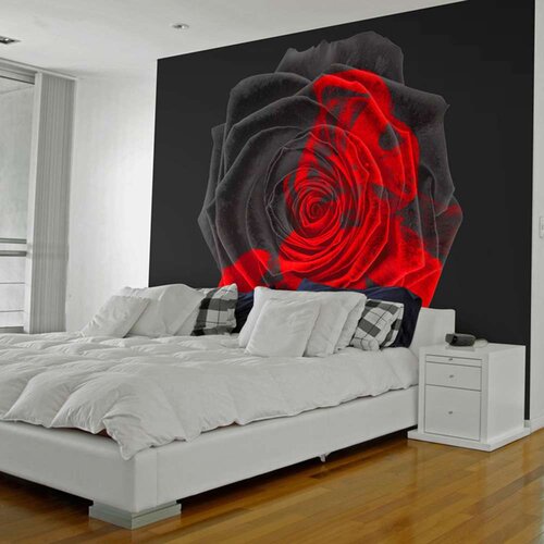  Tapeta - Transformation 250x193 Slike