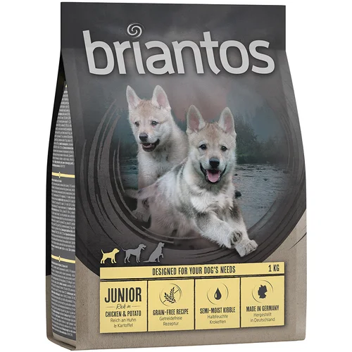 briantos Junior piščanec & krompir - BREZ ŽIT - 1 kg