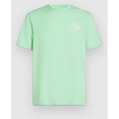 O&amp;#039;neill Box Logo T-shirt mildrew mint Slike