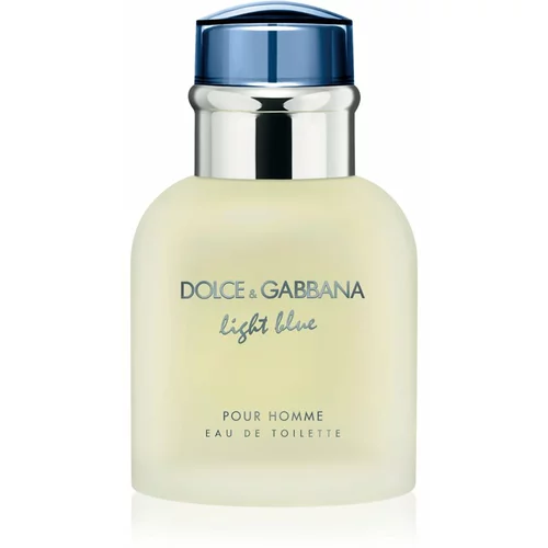 Dolce & Gabbana Light Blue Pour Homme toaletna voda za moške 40 ml