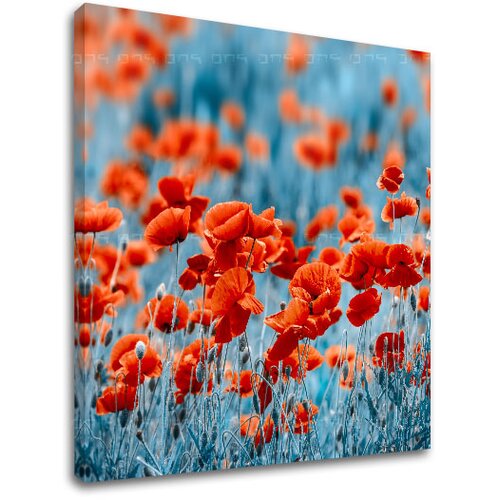  Slike na platnu crveno CVEĆE_159-12 (moderne slike na platnu) Cene