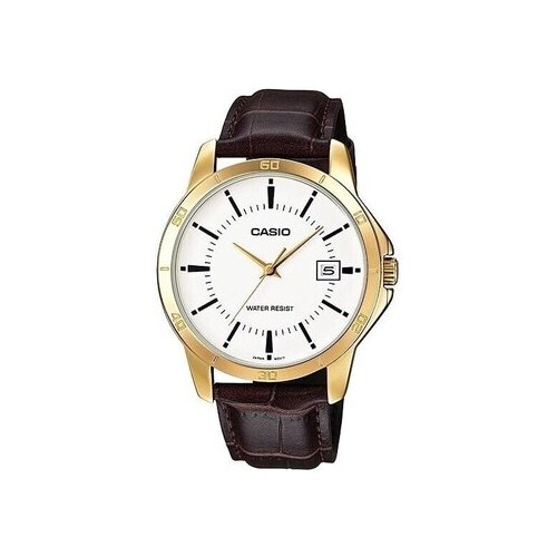 Casio Analogne ure ty95880 pisana Cene