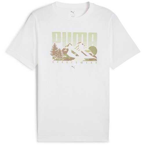 Puma Majica kratak rukav graphics mountain tee M Cene