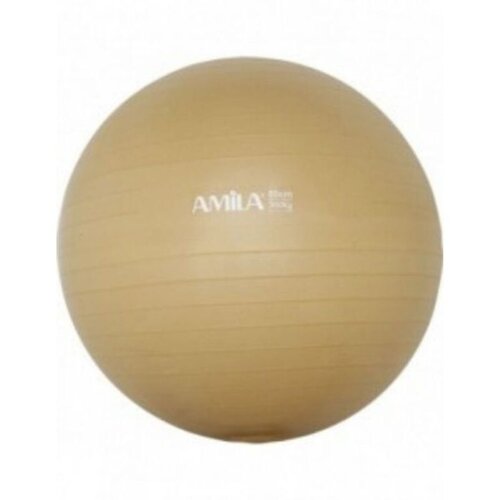 Amila pilates lopta 65cm sa pumpom Cijene