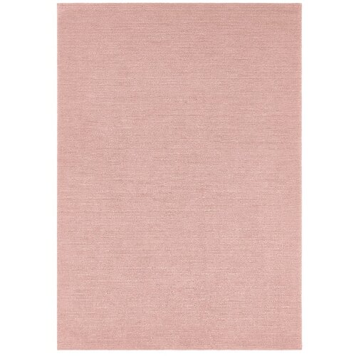 Mint Rugs ružičasti tepih metvice Rugs SuperSoft, 120 x 170 cm Slike