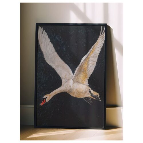 Wallxpert uramljena slika 115246, beli labud u letu na tamnoj pozadini, 50 x 70 cm, crni ram Cene