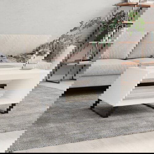 vidaXL Stolić za kavu bijeli 60 x 50 x 40 cm od konstruiranog drva Cene
