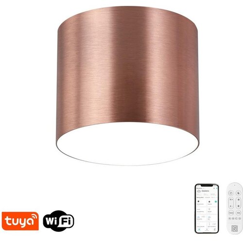  Immax NEO 07320L - LED prigu&scaron;iva plafonska svetiljka RONDATE 32W/230V 16,5 cm Wi-Fi Tuya ružičasta Cene