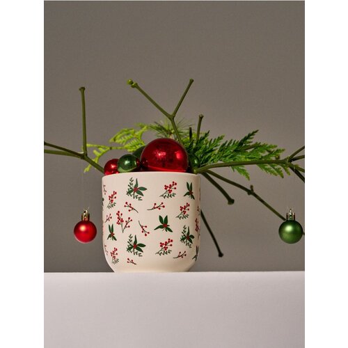 Sinsay Tegla za biljke Cijene