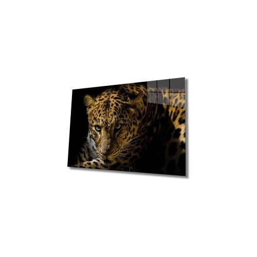 Wallity slika 438, 60x90cm Cene