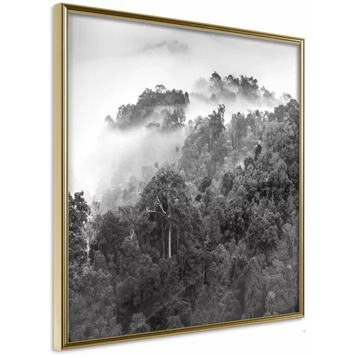  Poster - Foggy Forest 50x50