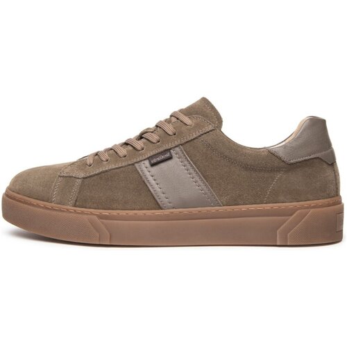 Nero Giardini Modne superge Arold Colo Sauvage Taupe Tr Iseo 1005 Ambra 3 Kostanjeva Slike