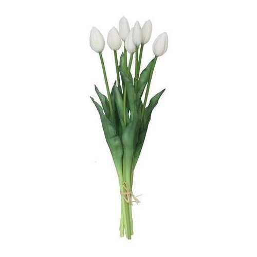  TULIPANI X7 PVC 7741 Cijene