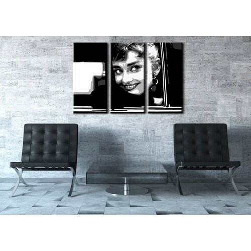  Ručno slikane slike na platnu pop art audrey hepbhurn Cene