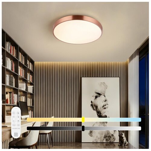  Immax NEO 07321L-LED stropna svetiljka NEO LITE SEMPLICI, prigu&amp;scaron;iva, 36 W / 230 V, prečnik 40 cm, bakarna, s daljinskim upravljačem Slike