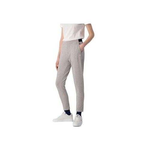 Champion 116097EM006 Siva Slike