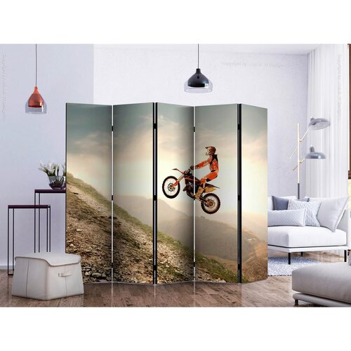 Artgeist Paravan Motor Sport I, 5-Delni, Dvostranski Slike