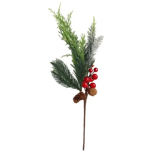 Rezano cvijeće Pik 46 cm Cijene