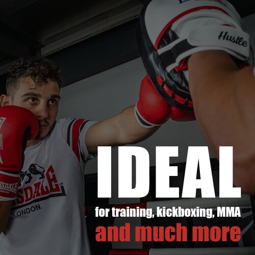 Lonsdale Leather hook & jab pads (1 pair) Cijene