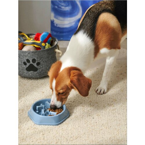 Sinsay Posuda za pse Cene