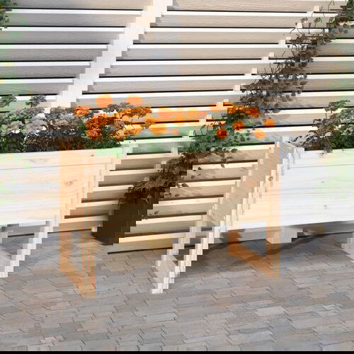 VidaXL Sadilica 78 x 40 x 52 cm od masivne borovine Slike