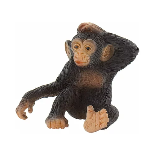  Safari - Mladič šimpanza