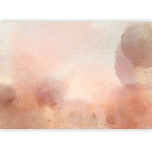  Foto tapeta - In pink clouds &amp;ndash; soft textures in peach-pink hues 350x256 Slike