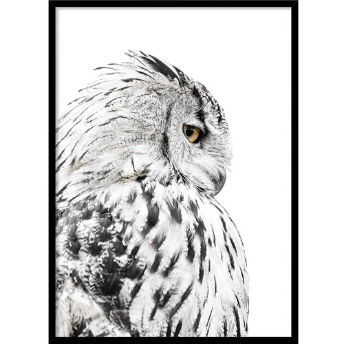 Styler Plakat v okvirju 50x70 cm Owl - Styler Slike