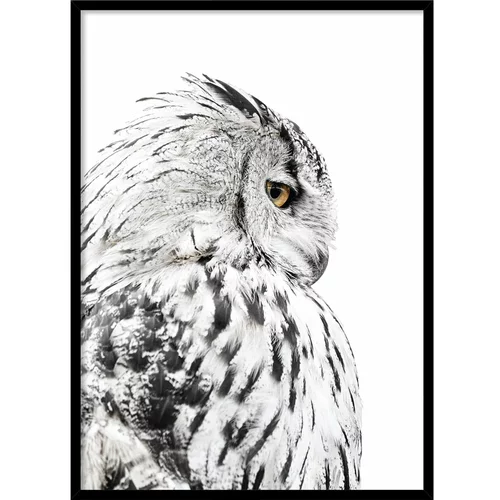 Styler Plakat v okvirju 50x70 cm Owl - Styler