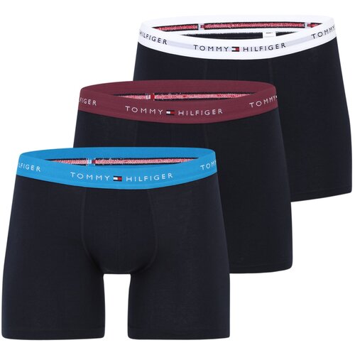 Tommy Hilfiger Underwear Bokserice &amp;#039;Essential&amp;#039; plava / mornarsko plava / patlidžan / bijela Slike