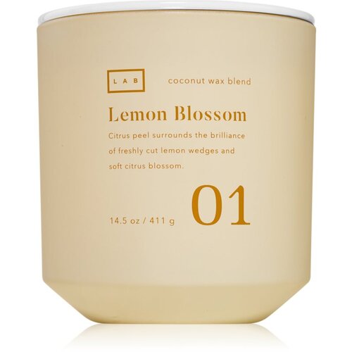 DW Home Lab Lemon Blossom mirisna svijeća 411 g Slike