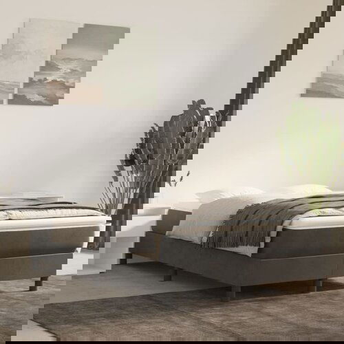 VidaXL Okvir za krevet s oprugama tamnosivi 120 x 200 cm bar&amp;scaron;unasti Slike